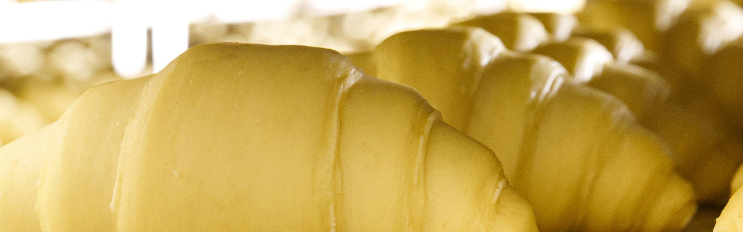 la-bonta-e-fatta-e-cosi-02