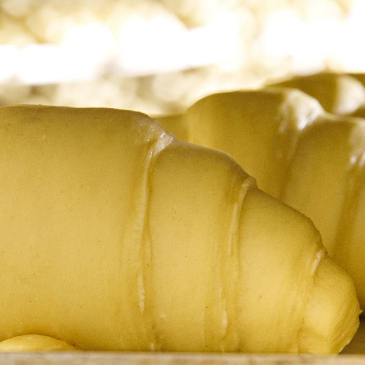 la-bonta-e-fatta-e-cosi-m-02